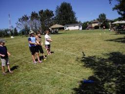 Rabbit Races