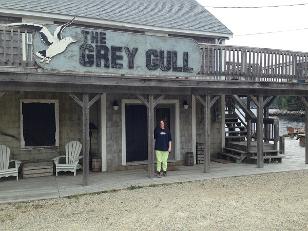 The Gray Gull